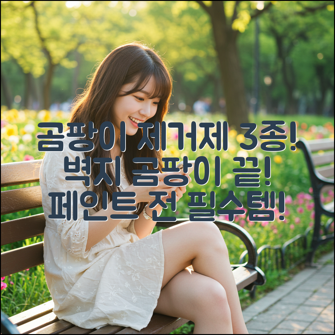 벽지 곰팡이 제거제 3종 추천! 페인트 전 필수템