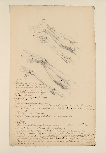 Cahiers dAnatomie Pl21 18th Century
