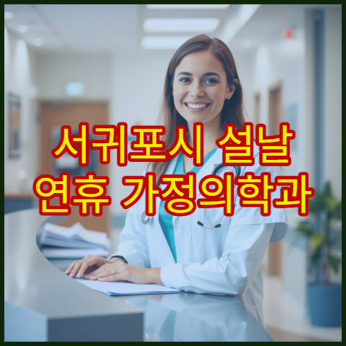 서귀포시 설날 연휴 가정의학과 진료 병원 정리