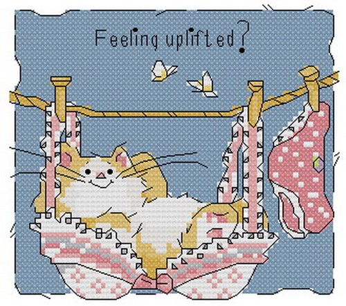 CMP KF003 Underwear Cat