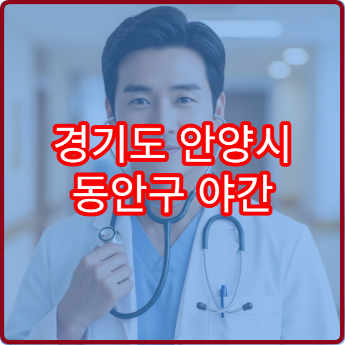 경기도 안양시 동안구 야간 산부인과 진료 병원 여성질환 상담 가능