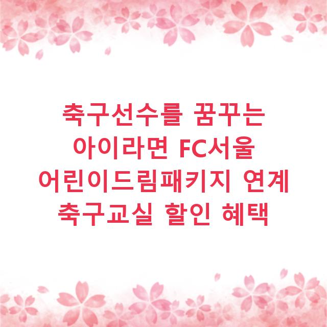 축구선수를 꿈꾸는 아이라면 FC서울 어린이드림패키지 연계 축구교실 할인 혜택