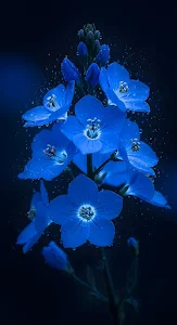 Intense Cobalt Blue Flowers with Water Droplets