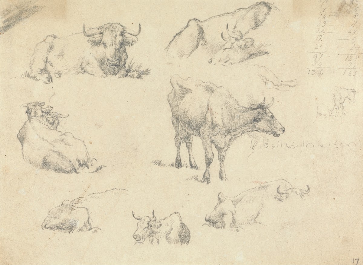Cows From Various Angles