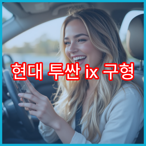 현대 투싼 ix 구형 내비게이션 최신 맵 적용 팁