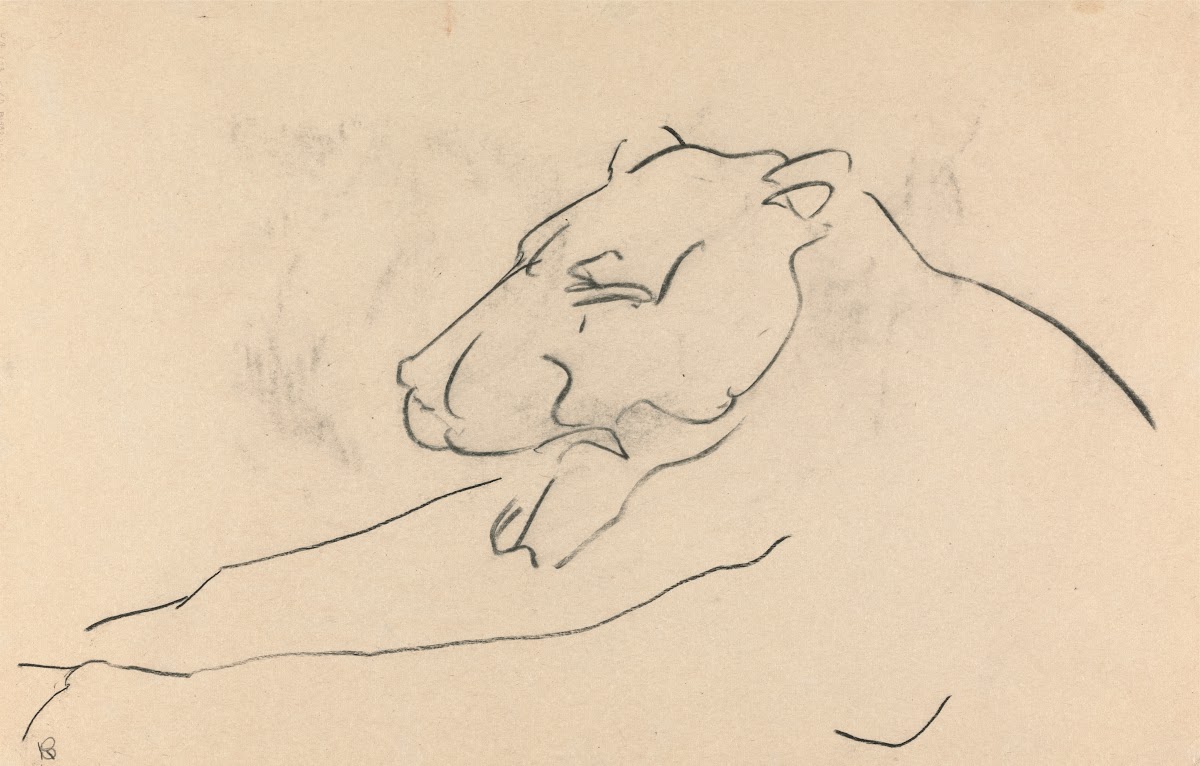 Reclining Lioness 1910   1915