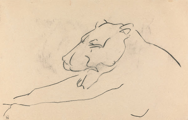 Reclining Lioness 1910   1915
