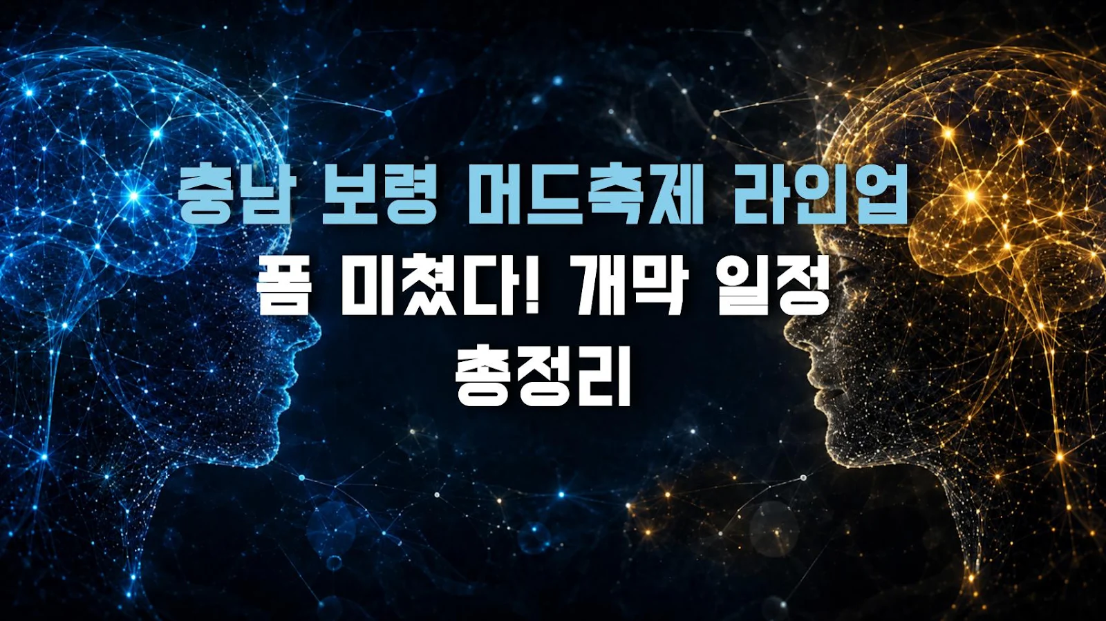 충남 보령 머드축제 라인업 폼 미쳤다! 개막 일정 총정리