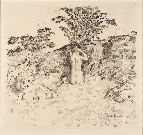 Wild Cherry Tree 1918