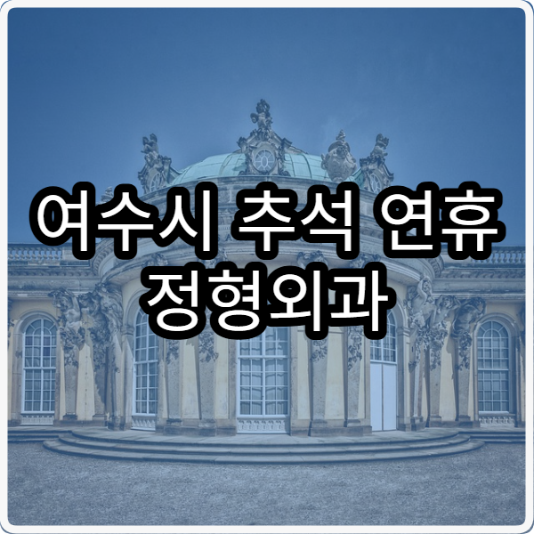 여수시 추석 연휴 정형외과 진료 병원 확인 및 예약 팁