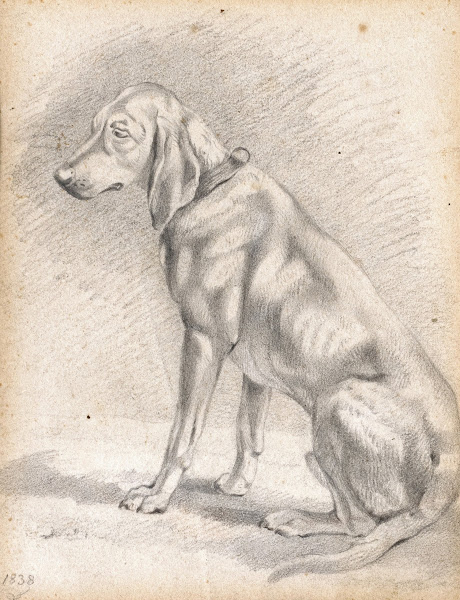 Sitzender Jagdhund 1838
