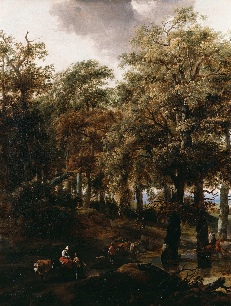 A Road through a Wood