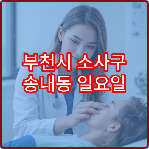 부천시 소사구 송내동 일요일 소아청소년과 아이 복통