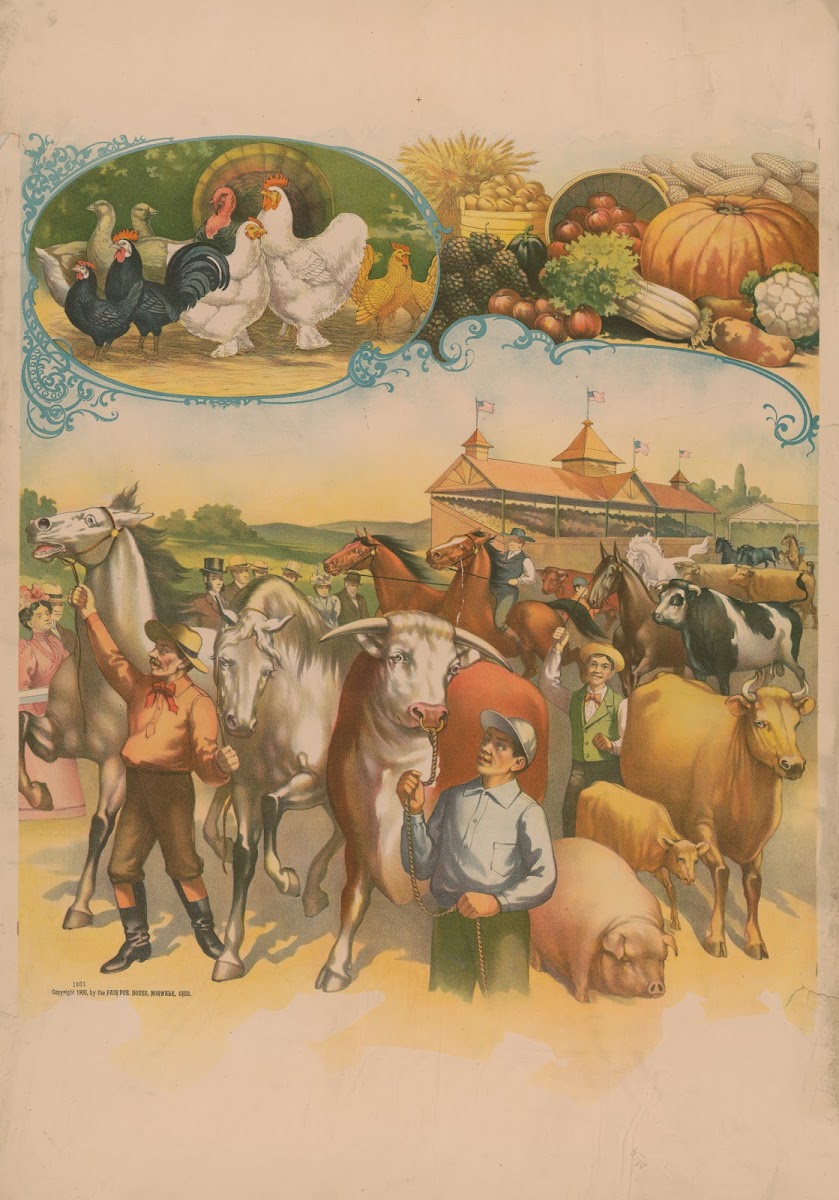 Cow Pigs Horses With Fair Buildings In The Background Framed By Chickens And Pro