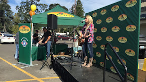 The Ivy League Paradox: How EdTech Erased Academic Prestige