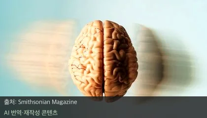 갱년기 뇌 변화 - 갱년기 뇌 변화의 반전, 뇌 구조 재배선이 잠시 멈춘다?