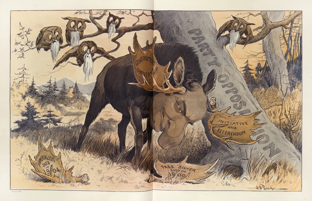Shedding his horns 1907