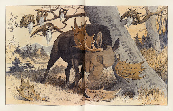 Shedding his horns 1907