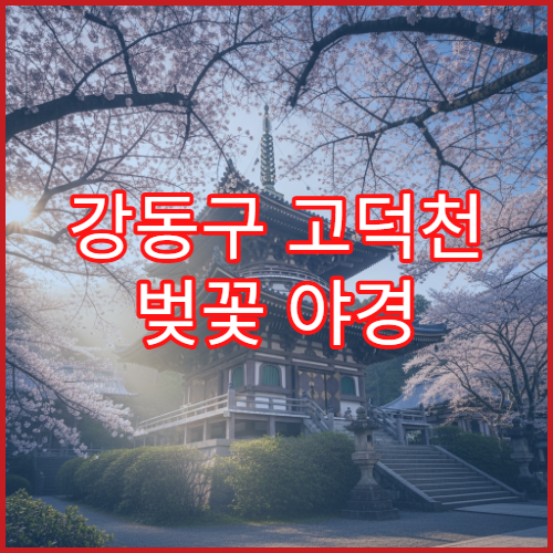 강동구 고덕천 벚꽃 야경 드론 촬영 허용 구역과 주의사항