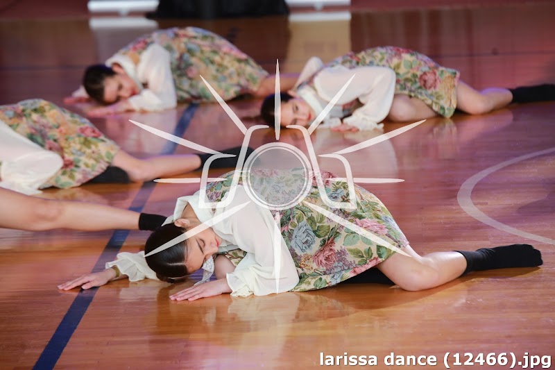 larissa dance (12466).jpg