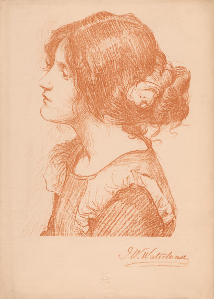 Head of a Woman 1896