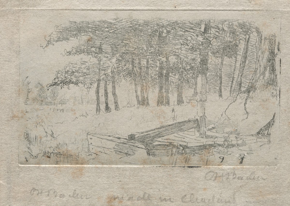 Sketch from Nature 1879