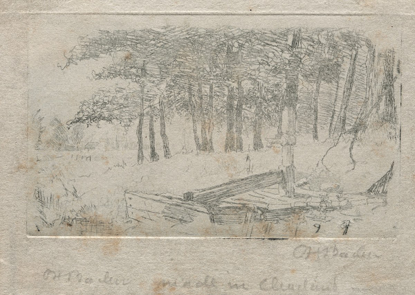 Sketch from Nature 1879