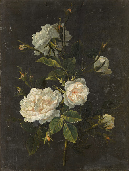 Still life of roses
