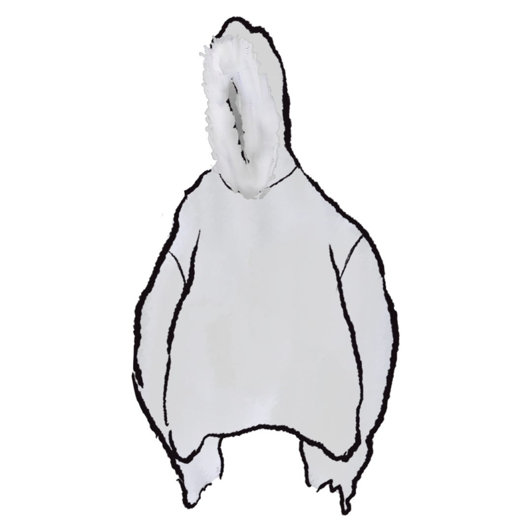 Yeezy Dry Nylon WB-10 product image