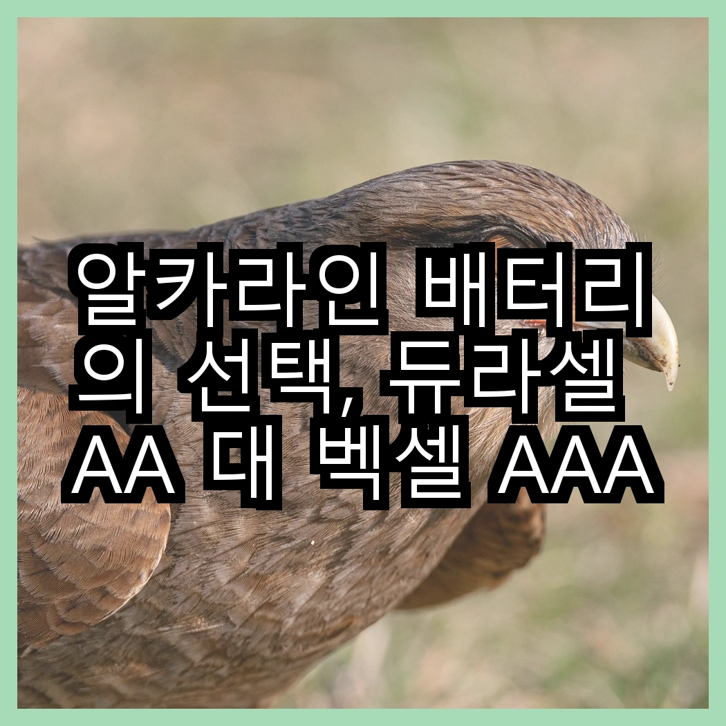 알카라인 배터리의 선택, 듀라셀 AA 대 벡셀 AAA, 당신은 어떤 것을 선택할 건가요? 썸네일