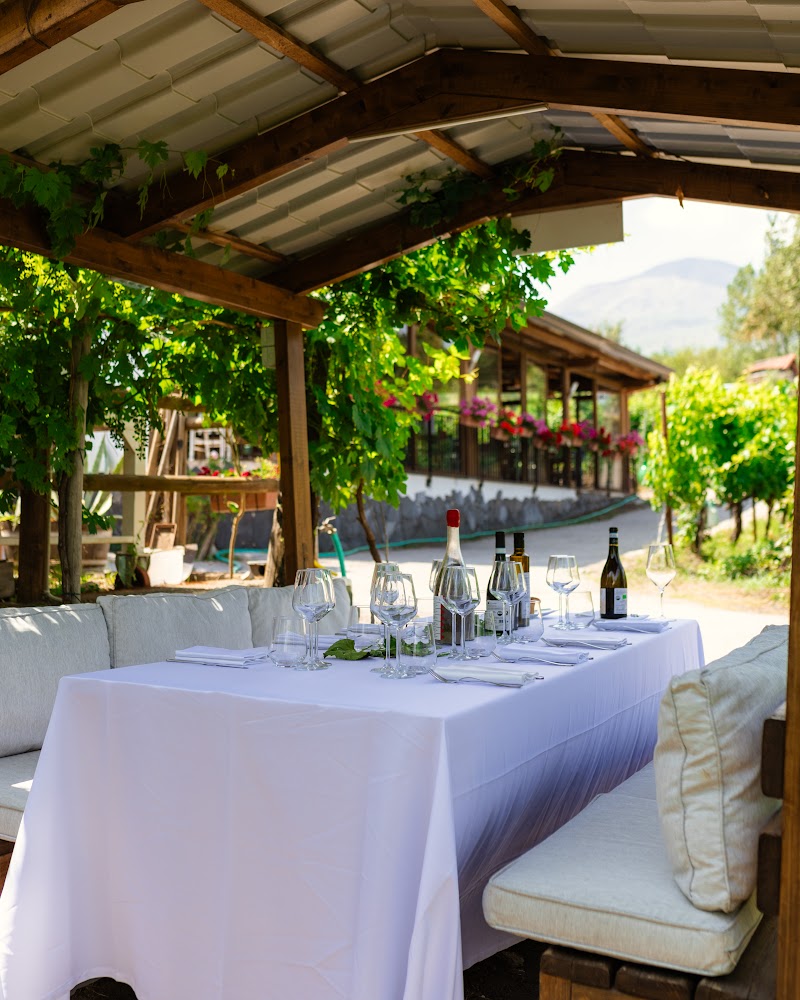 VINEYARD BOUT LUNCH.jpg