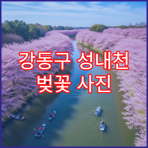 강동구 성내천 벚꽃 사진 인생샷 황금 시간대 포토존 위치