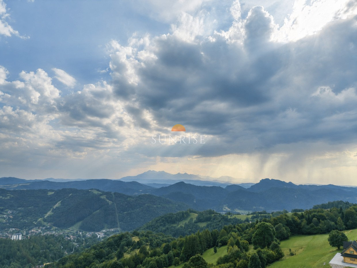 Działka leśna 48,75 a | Szczawnica | 80 000 zł — zdjęcie 4