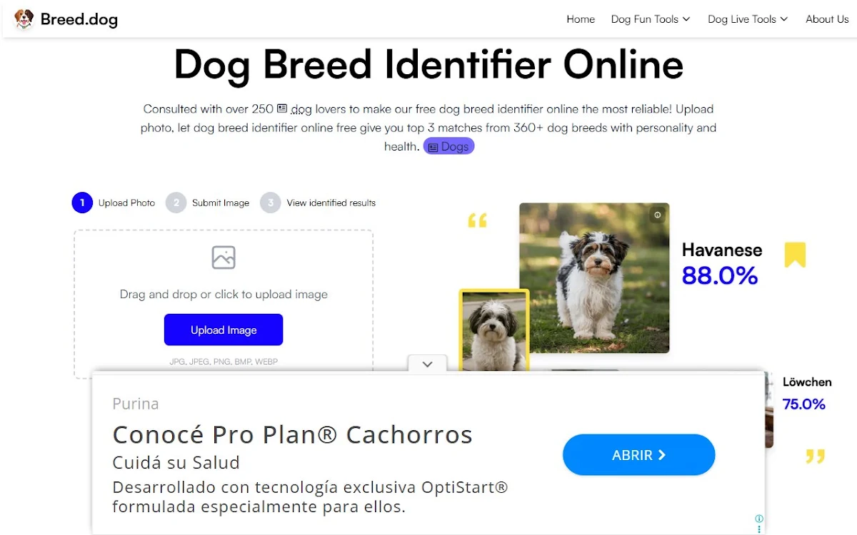 Captura de Breed.dog - AI Dog Breed Identifier