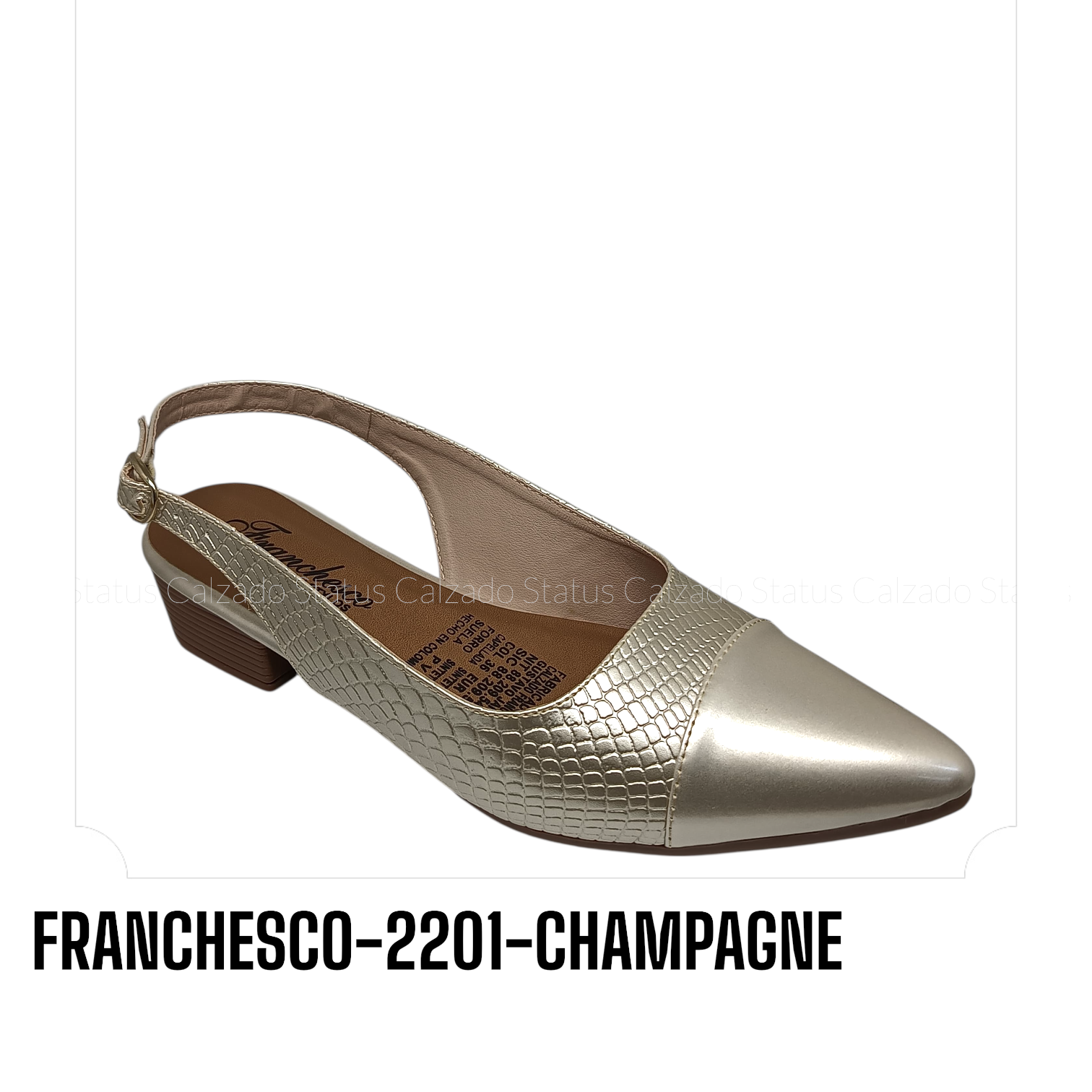 FRANCHESCO-2201-CHAMPAGNE