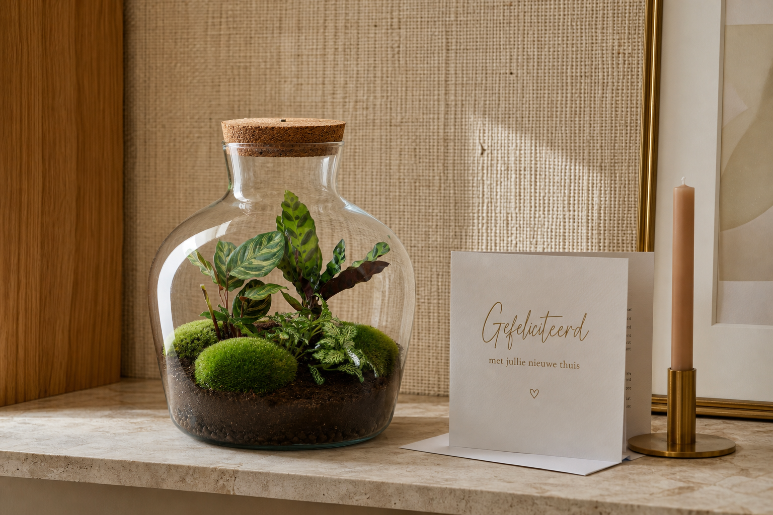 Fat Joe - Terrarium with light - Bottle garden DIY kit