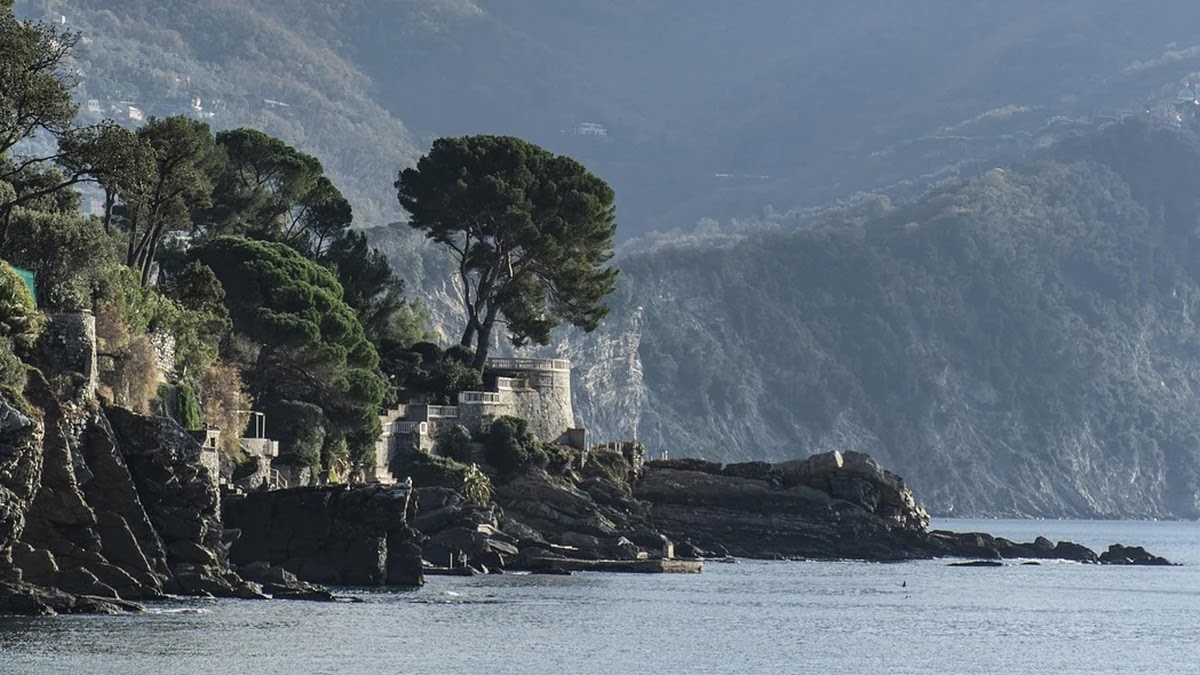 IT 분야 유망 자격증 종류별 비교와 취득 기준