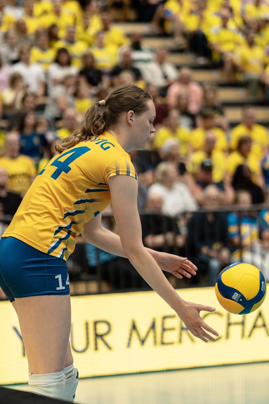 Sweden Slovenia 216