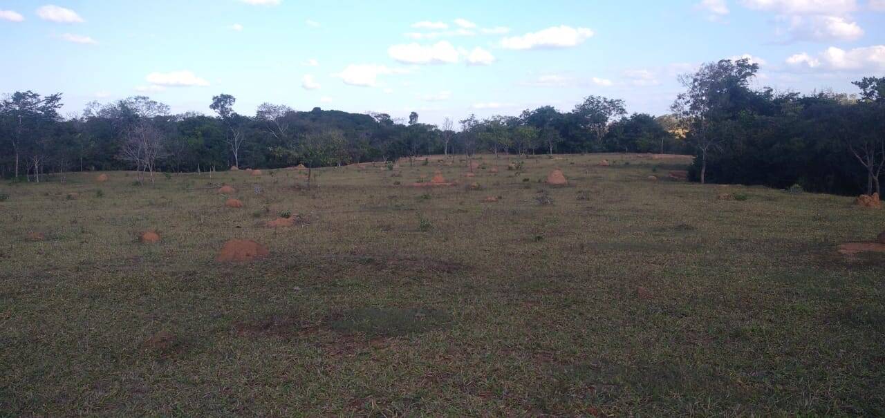 Fazenda em Água Fria - GO 8