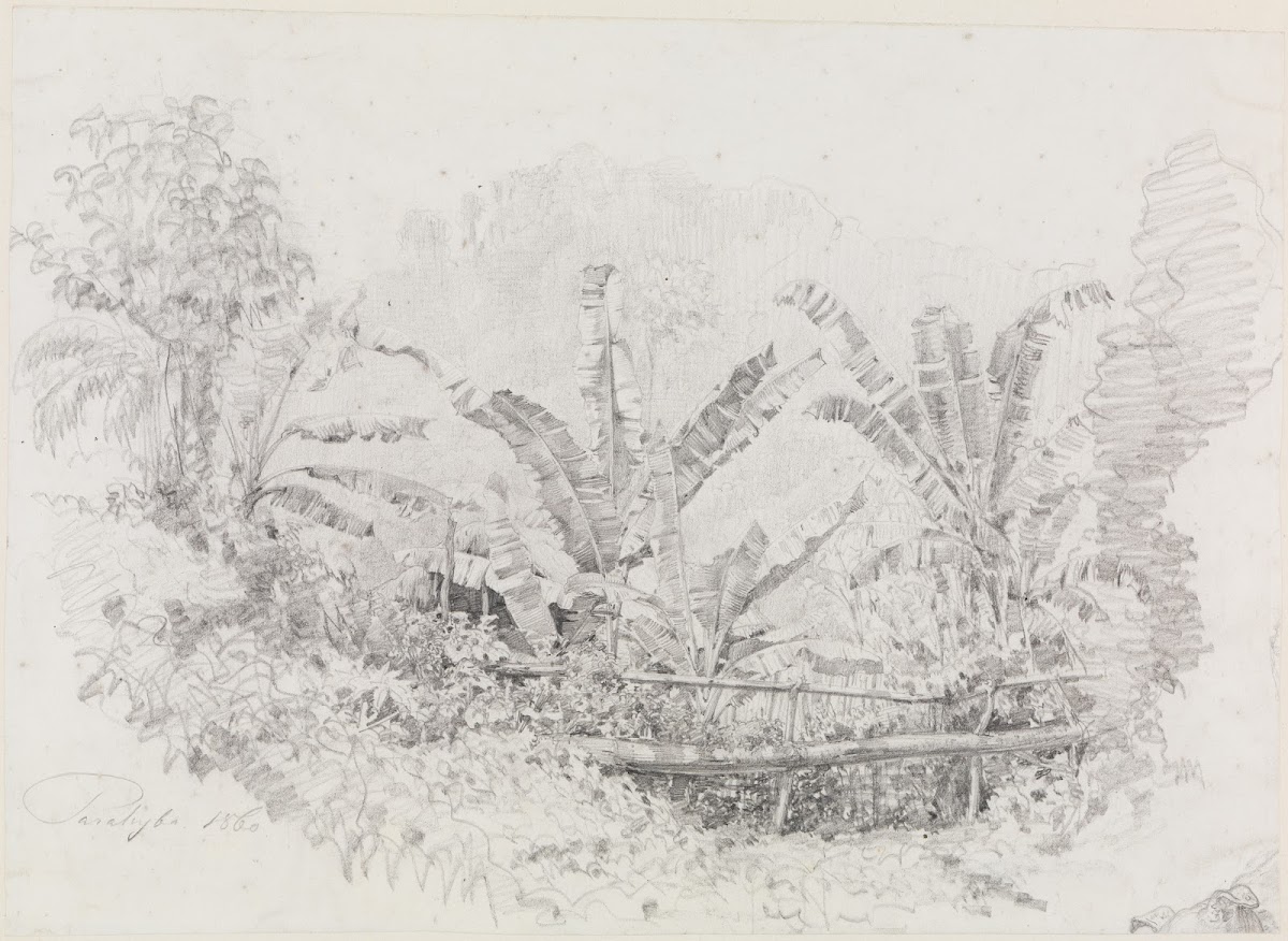 Holzbrücke unter Musha Sträuchern 1860