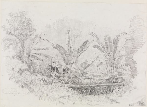 Holzbrücke unter Musha Sträuchern 1860