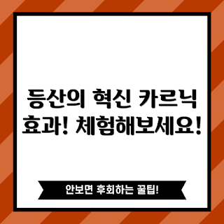 카르닉등산스틱, 초보자 등산, 전문가 추천, 효과적인 하이킹, 등산 장비