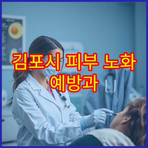 김포시 피부 노화 예방과 탄력 개선 시술 제공 피부과 병원