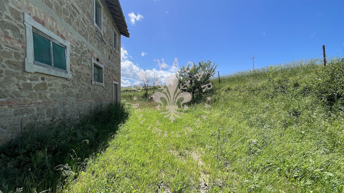 פודרה ננדו (Podere Nando) — 24