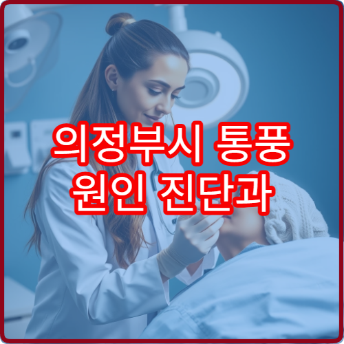 의정부시 통풍 원인 진단과 식이요법·약물 치료 병원 정보