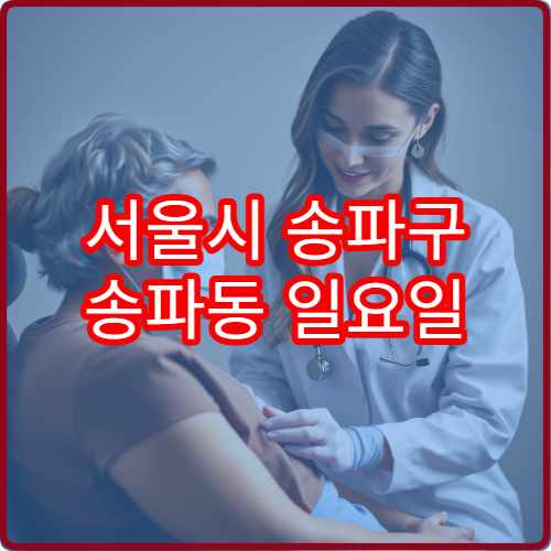 서울시 송파구 송파동 일요일 한의원 진료 한방 치료