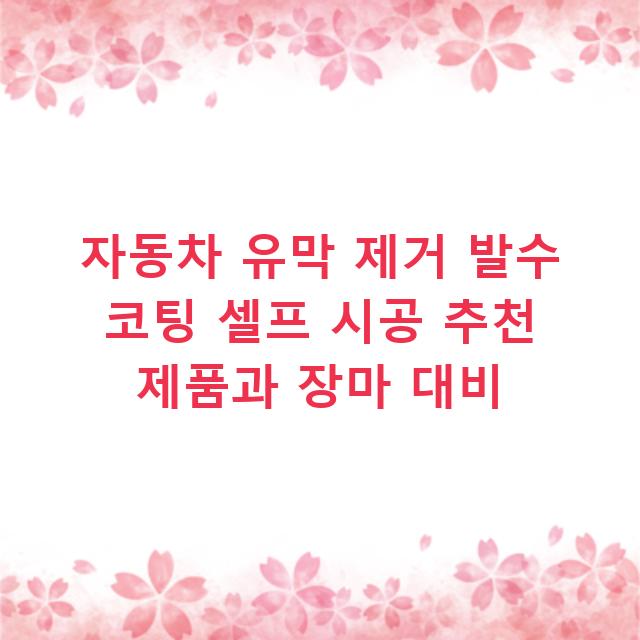 자동차 유막 제거 발수 코팅 셀프 시공 추천 제품과 장마 대비