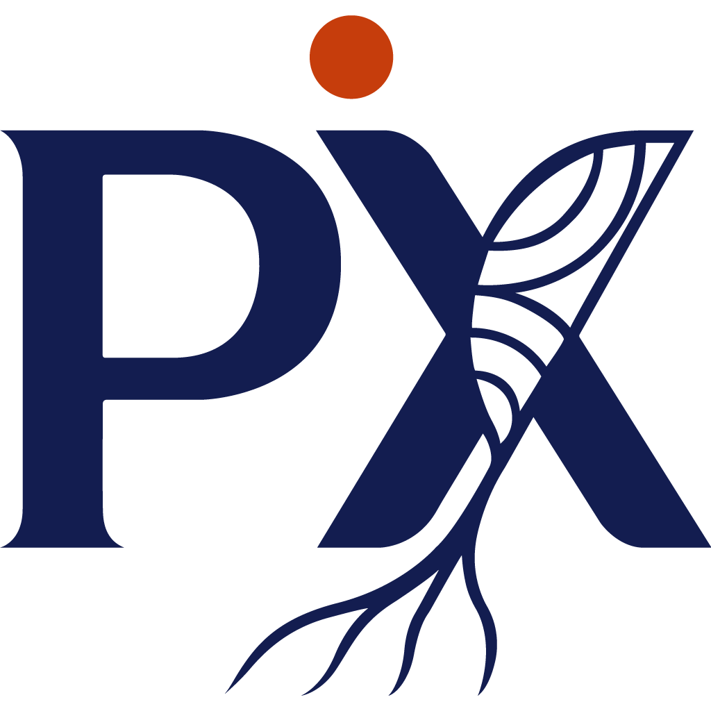 Psychedelic Pixels Logo