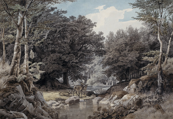 Waldinneres mit Hirschen am Wasser