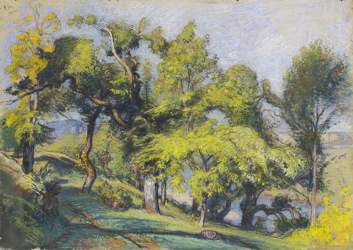 Chestnut Trees above a River c1900
